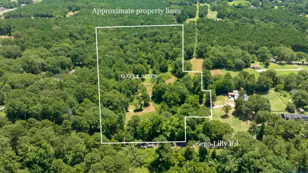 tbd Sego Lily, Diana, TX 75640