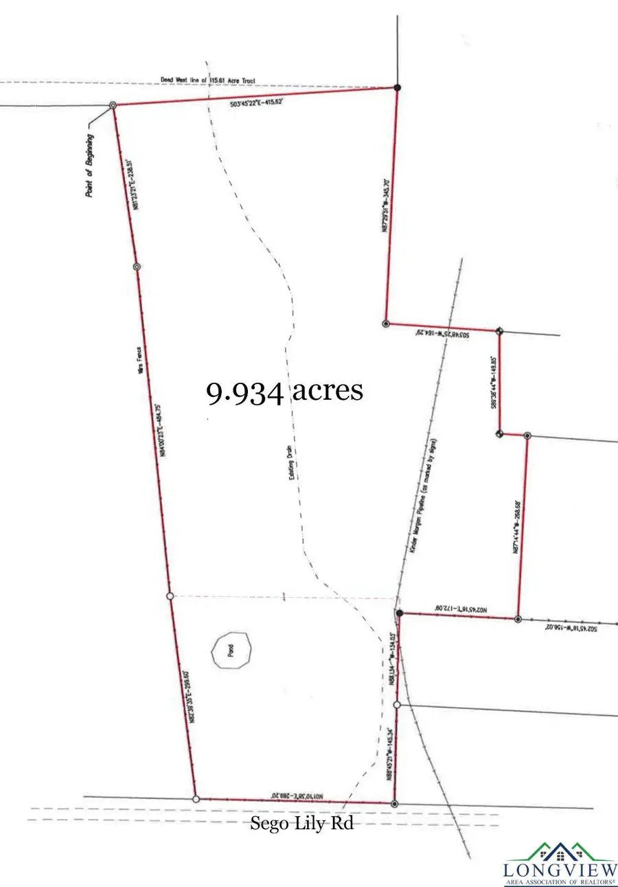 tbd Sego Lily, Diana, TX 75640 - Image #2