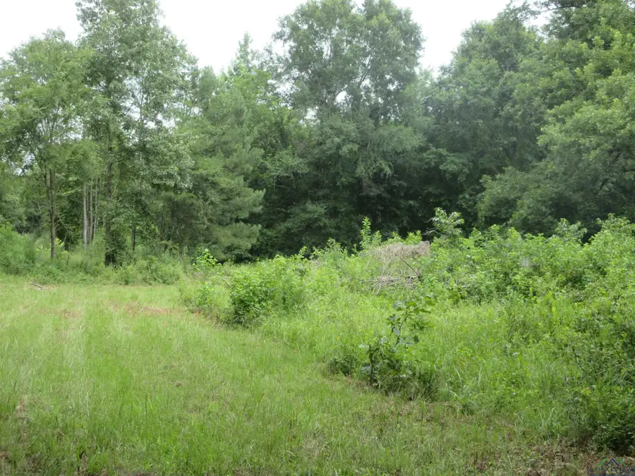 tbd Sego Lily, Diana, TX 75640 - Image #3