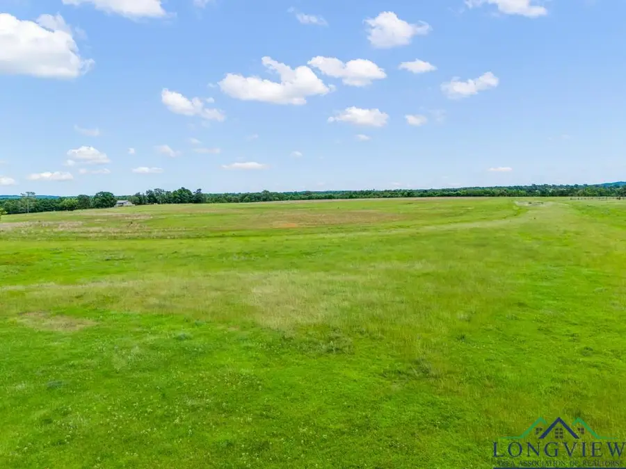 TBD Tract 2 State Hwy 155 Ore City, Ore City, TX 75683 - Image #2