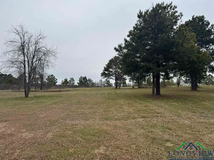 510 W Sterling Price Street, Tatum, TX 75691 - Image #2