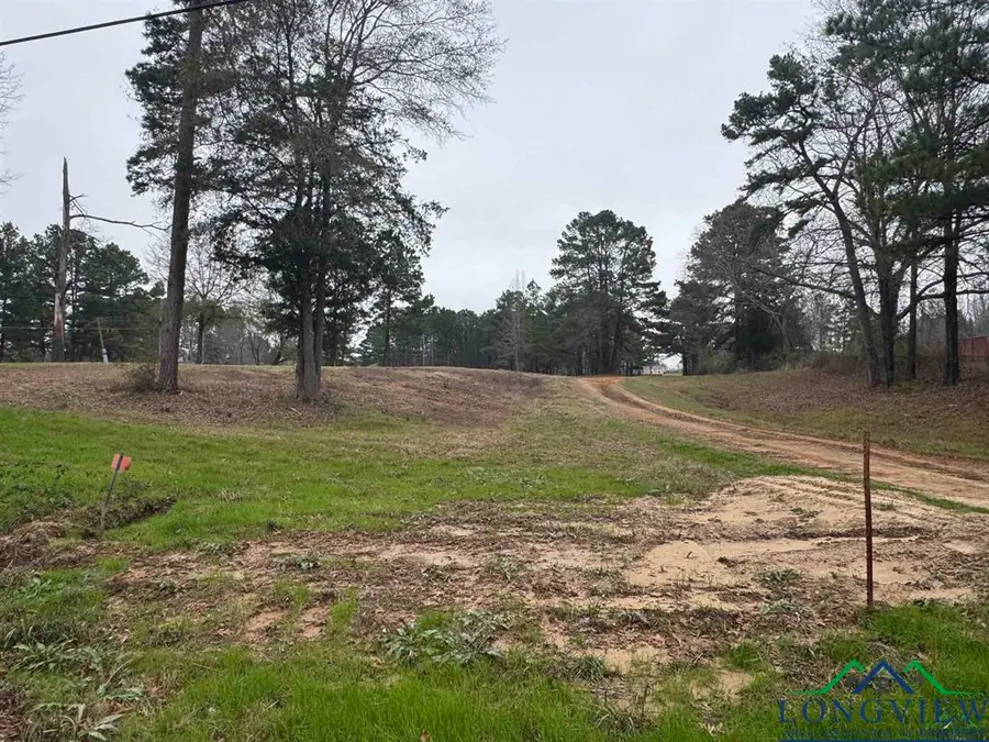 510 W Sterling Price Street, Tatum, TX 75691 - Image #3