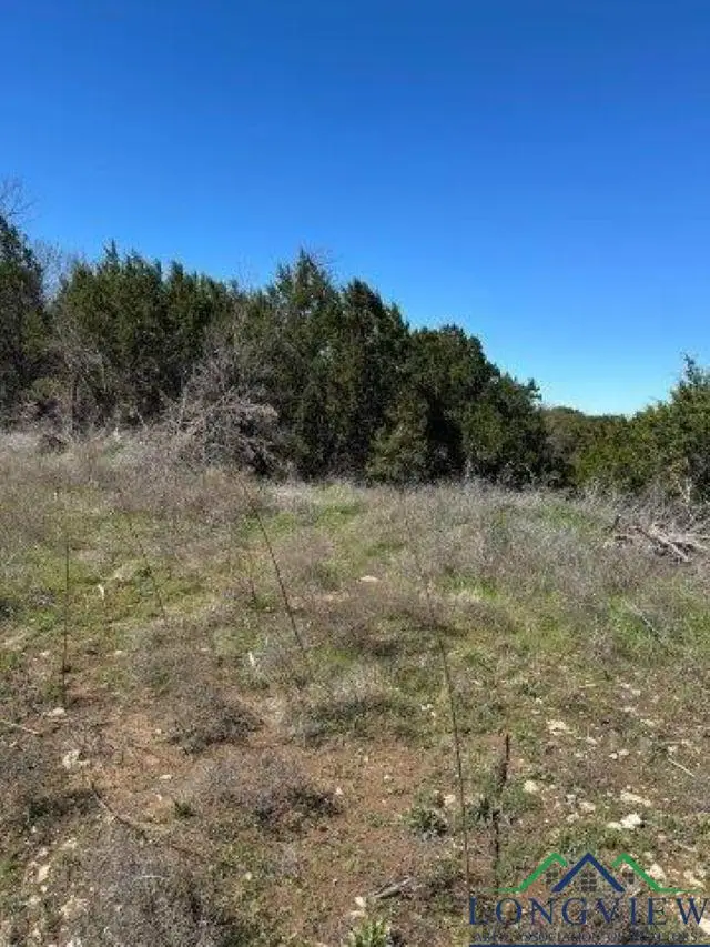 6806 Blue Ridge Rd., Weatherford, TX 76087 - Image #3