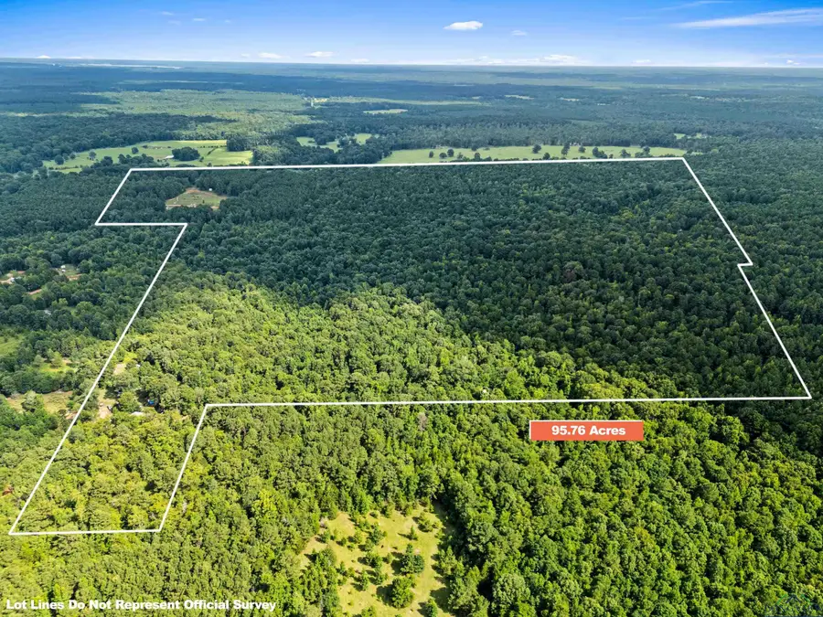 TBD FM 805, Jefferson, TX 75657 - Image #3