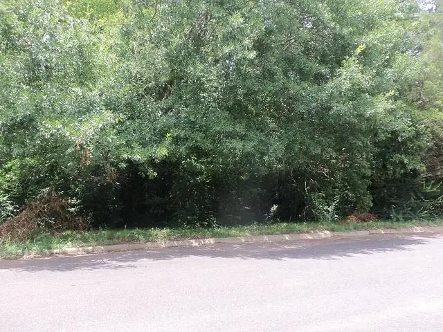 3411 Larkspur Lane, Kilgore, TX 75662-2738 - Image #2