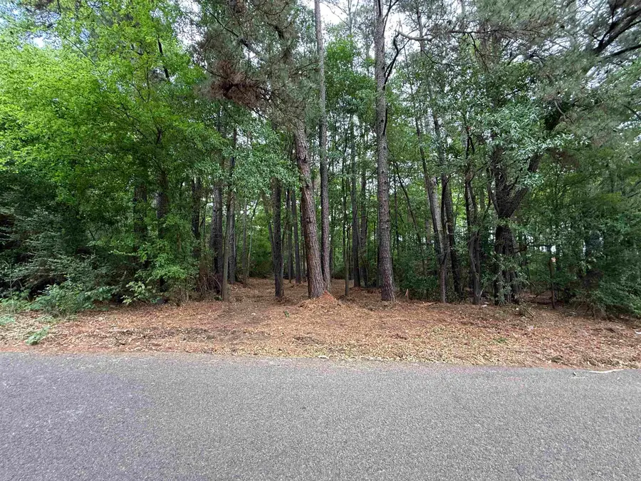 801 ETHEL ST, Longview, TX 75602 - #3