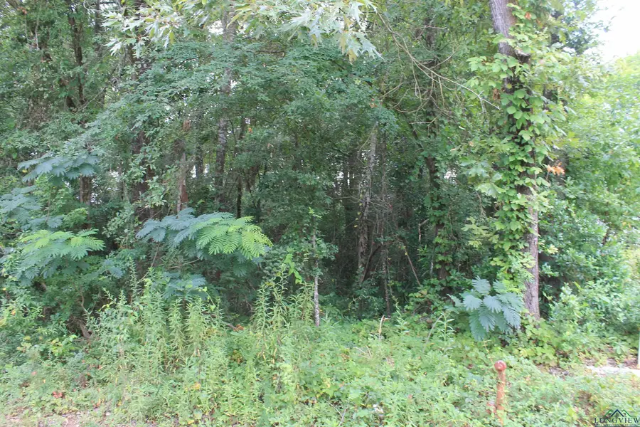 Lot 6 Ellis Road, Waskom, TX 75692 - Image #3