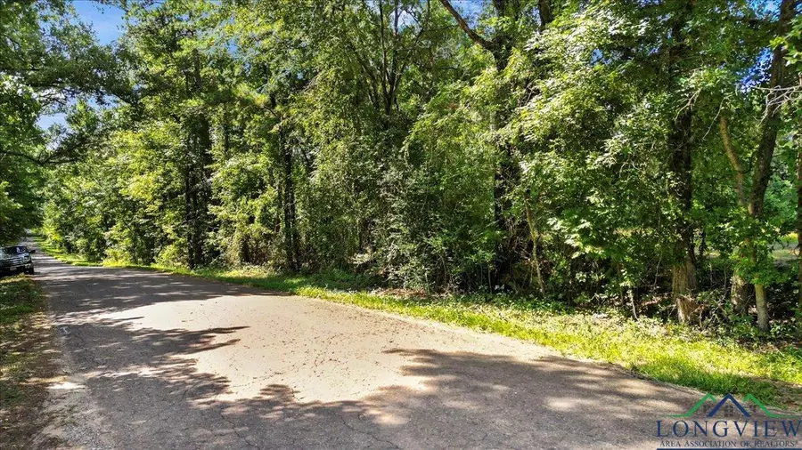 TBD Sue Belle, Marshall, TX 75670 - #2