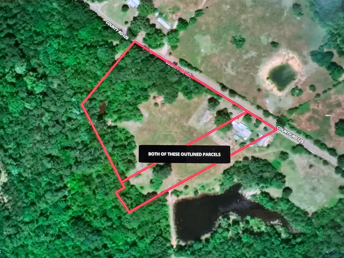 1590 CR 125, Gary City, TX 75643 - Image #1