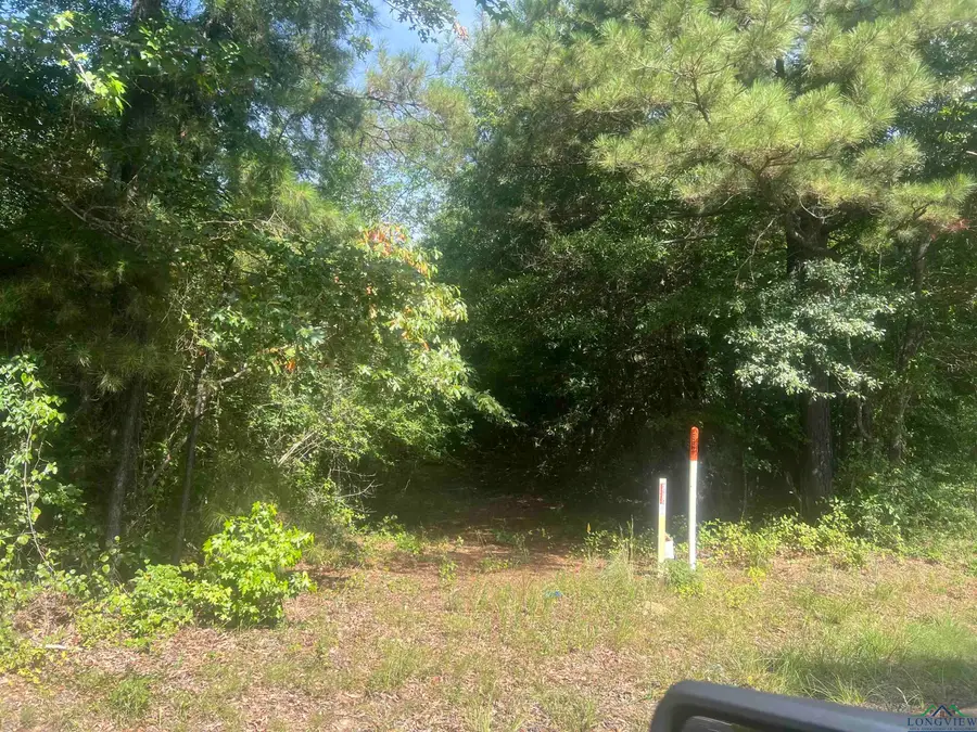 TBD CR 337, De Berry, TX 75672 - Image #3