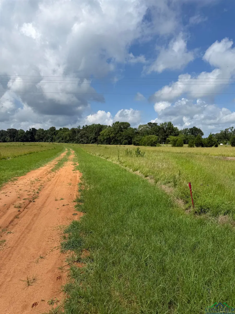 TBD CR 317, Henderson, TX 75654 - Image #2