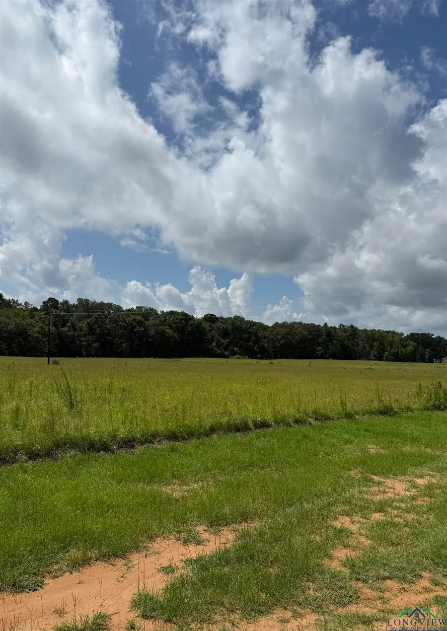 TBD CR 317, Henderson, TX 75654 - Image #3