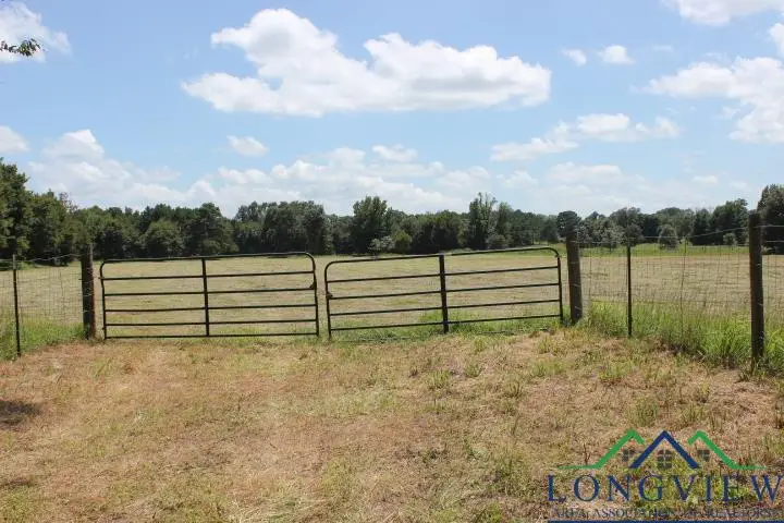 19762 FM 2208, Harleton, TX 75651 - Image #2