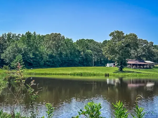 TBD Sage Road, Diana, TX 75640