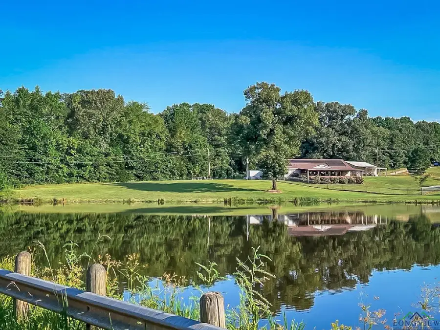 TBD Sage Road, Diana, TX 75640 - Image #2