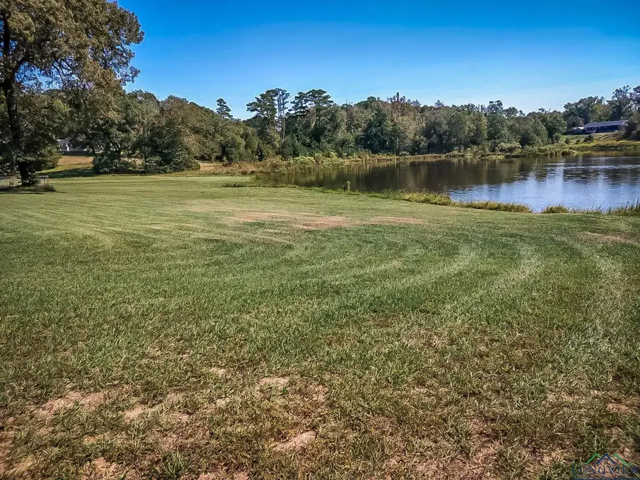 TBD Sage Road, Diana, TX 75640 - Image #3