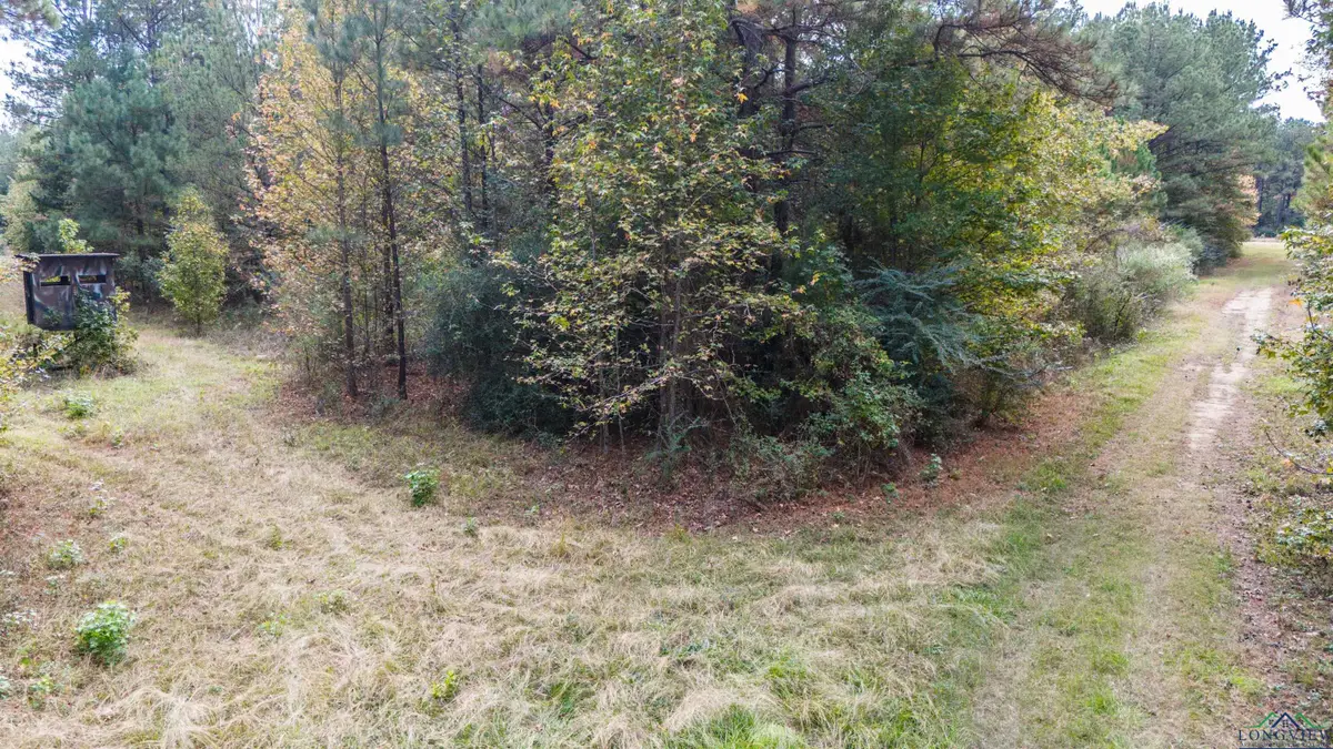 TBD CR 3133/PR 7133, De Berry, TX 75639 - Image #1