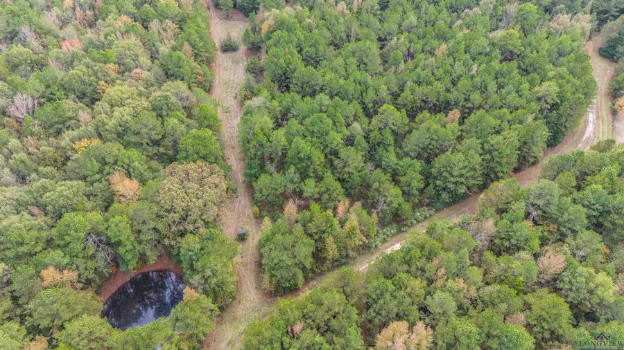 TBD CR 3133/PR 7133, De Berry, TX 75639 - Image #2