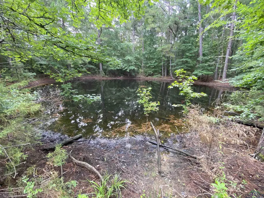 TBD CR 3133/PR 7133, De Berry, TX 75639 - Image #3