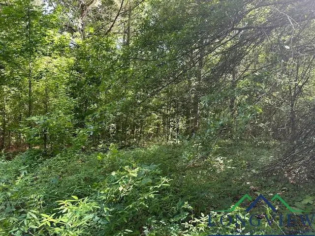 tbd E HWY 79, Henderson, TX 75652 - Image #2