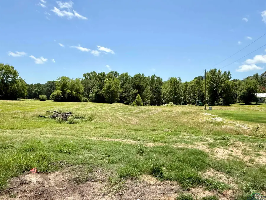 134 Collins Creek Rd, Hallsville, TX 75650 - Image #3