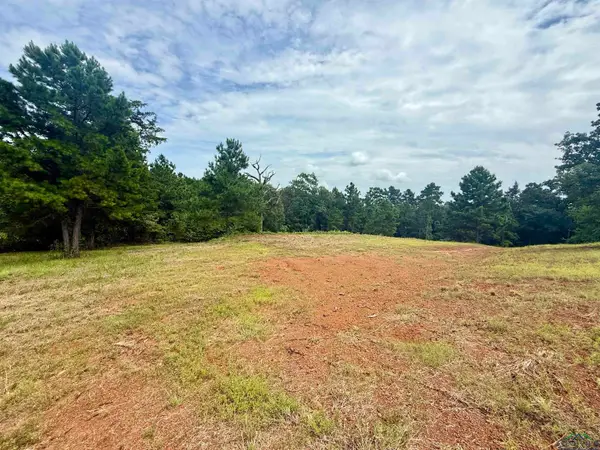 16121 W Valley View Ct., Winona, TX 75792