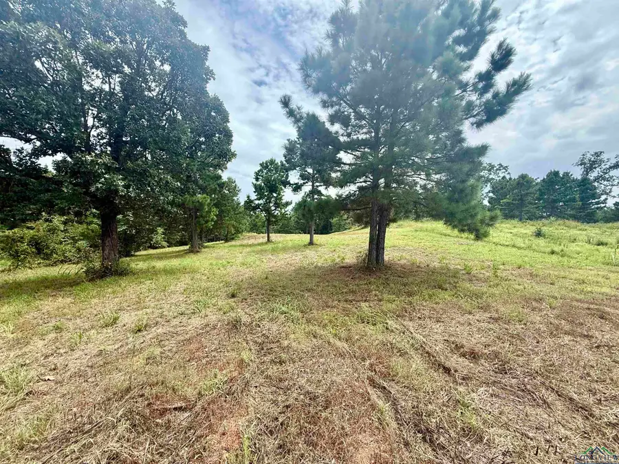 16121 W Valley View Ct., Winona, TX 75792 - #3