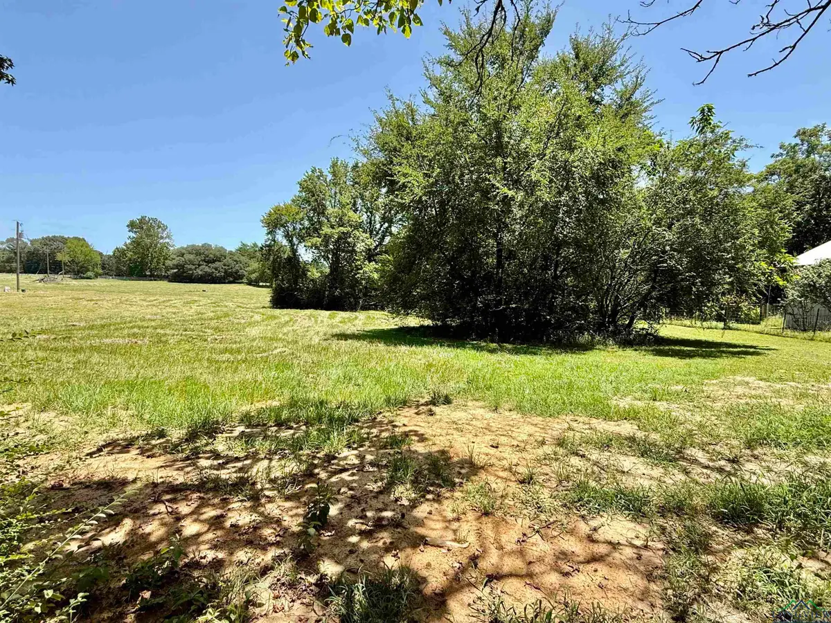 1450 Buchanan Rd, Hallsville, TX 75650 - Image #1