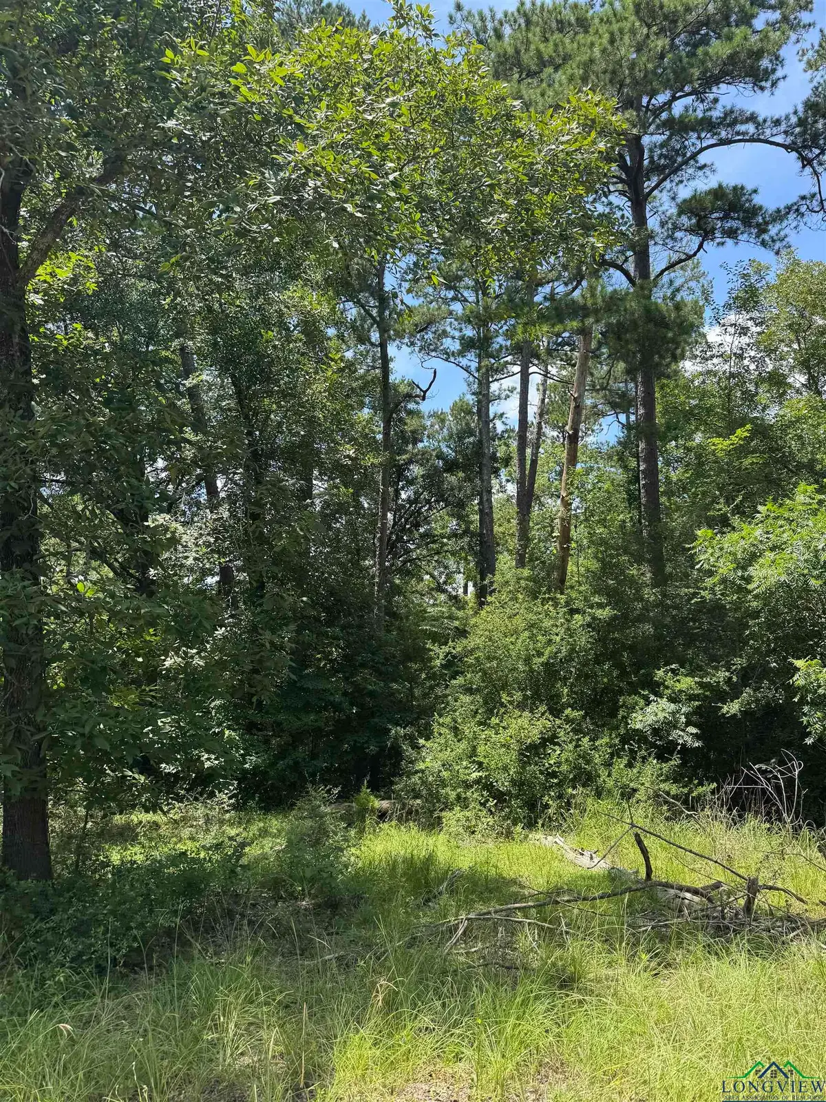 TBD Cortez Rd, Jefferson, TX 75657 - Image #1