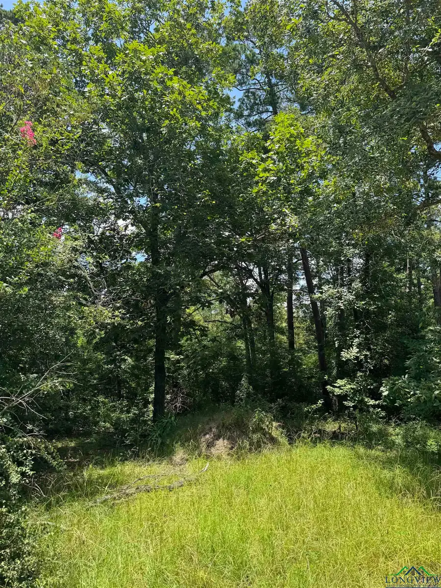 TBD Cortez Rd, Jefferson, TX 75657 - Image #2