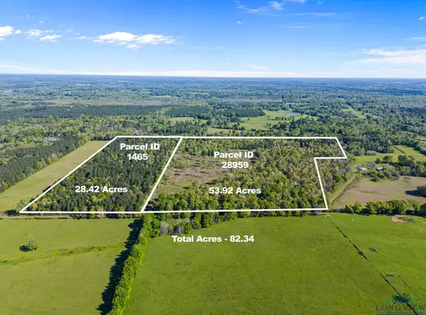 TBD County Road 163, Long Branch, TX 75669