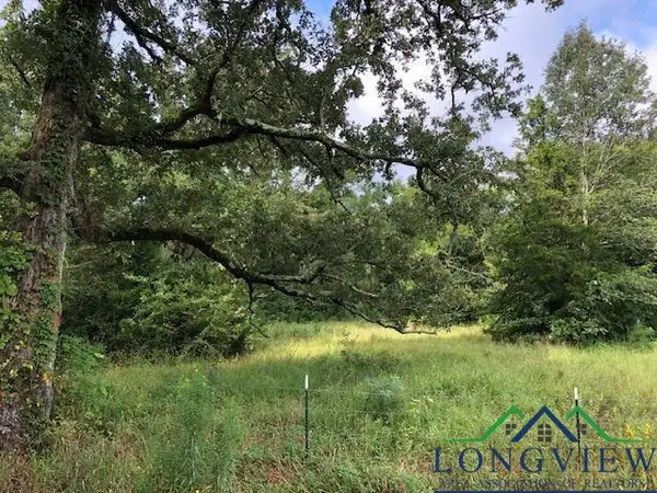 TBD CR 347, Henderson, TX 75654