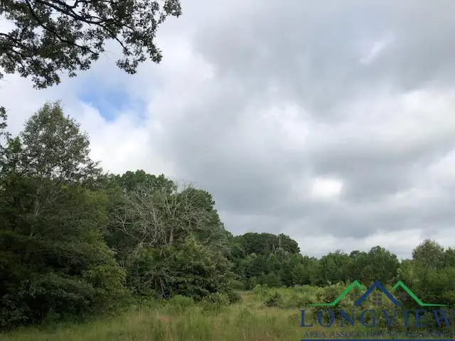 TBD CR 347, Henderson, TX 75654 - Image #2