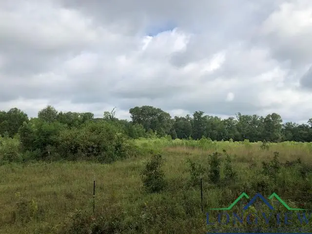 TBD CR 347, Henderson, TX 75654 - Image #3