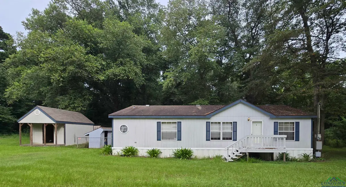 10910 COUNTY ROAD 384, Tyler, TX 75708 - Image #1