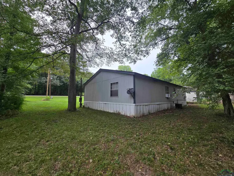 10910 COUNTY ROAD 384, Tyler, TX 75708 - Image #3