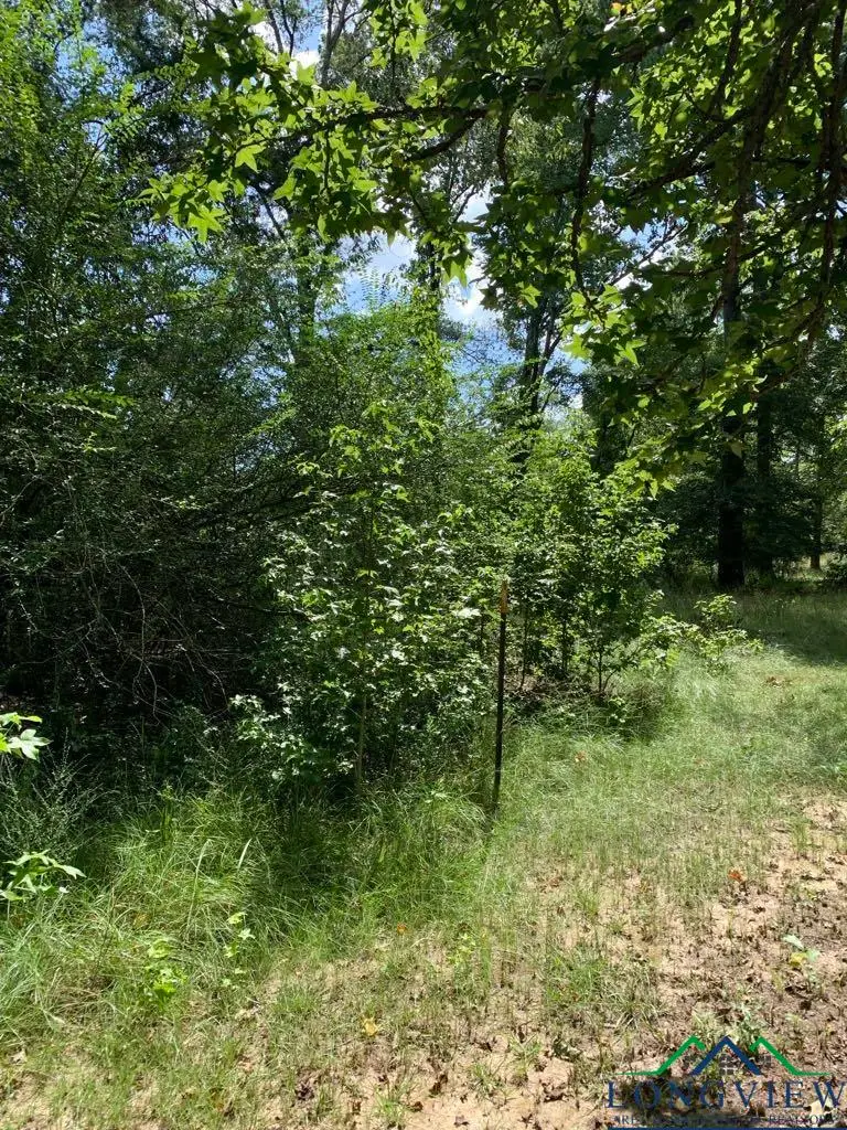 294 Mollie Ln, Marshall, TX 75672 - Image #2