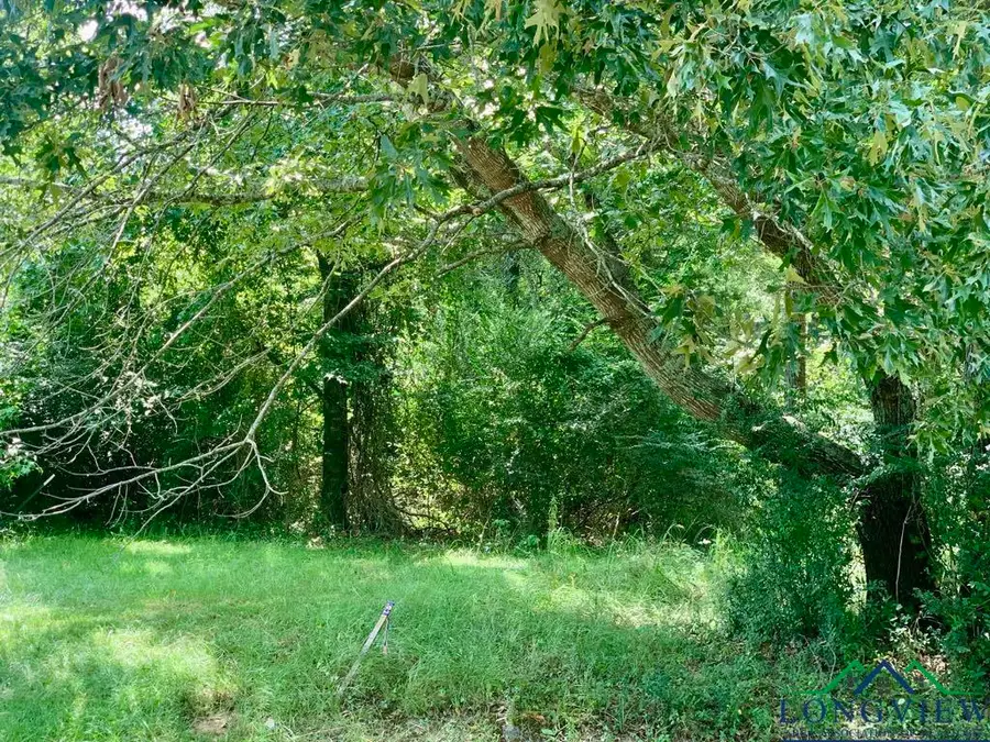 294 Mollie Ln, Marshall, TX 75672 - Image #3