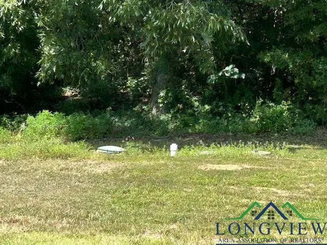 2727 Shady Hollow, Mount Pleasant, TX 75455 - Image #2