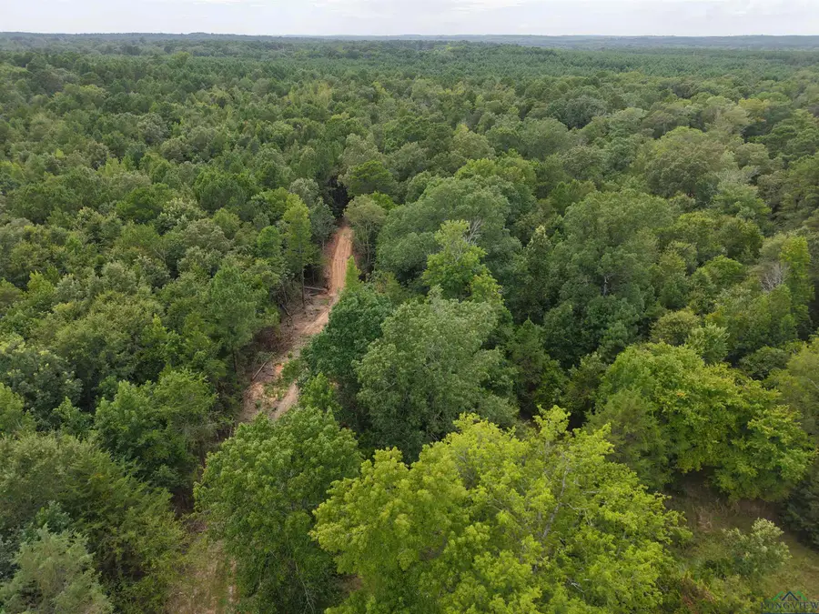 1075 Lee Island RD, Marshall, TX 75670 - Image #2