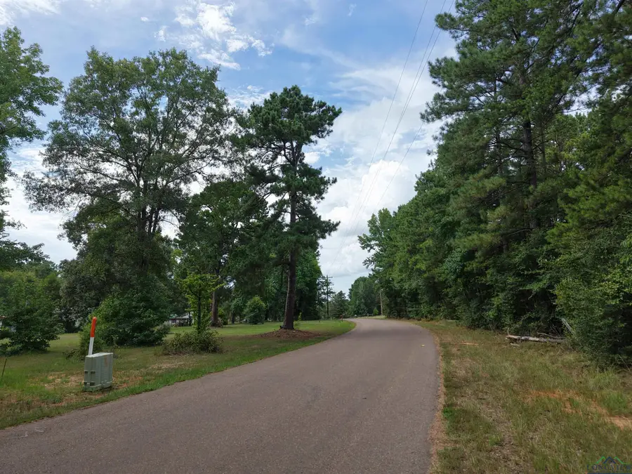 1075 Lee Island RD, Marshall, TX 75670 - Image #3