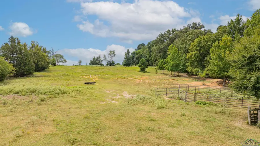 TBD FM 726, Diana, TX 75640 - #2