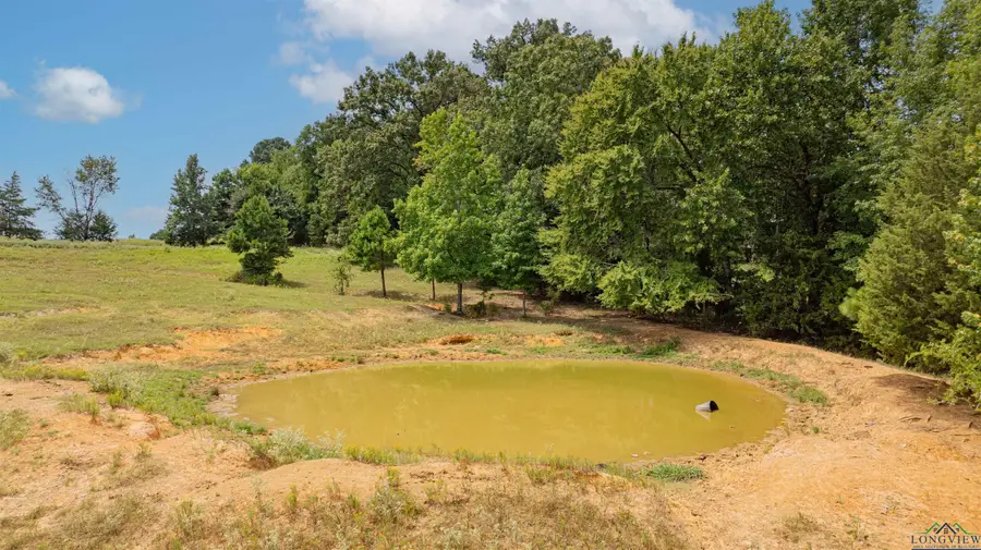 TBD FM 726, Diana, TX 75640 - #3