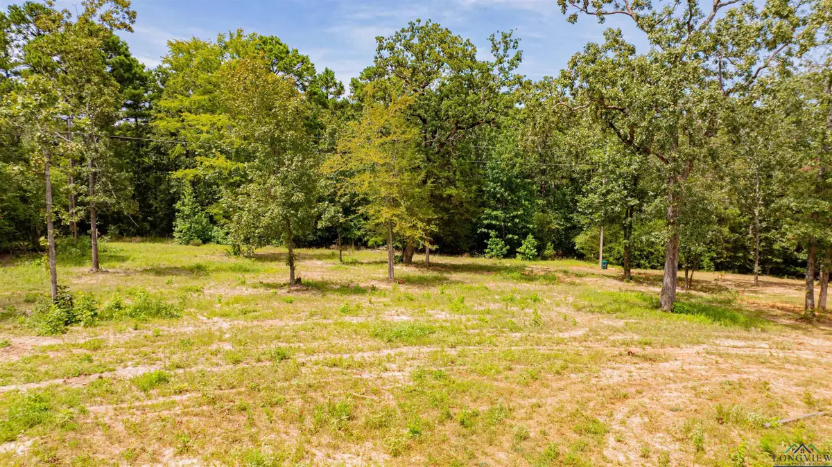 481 Lake Gladewater Rd, Gladewater, TX 75647 - Image #1