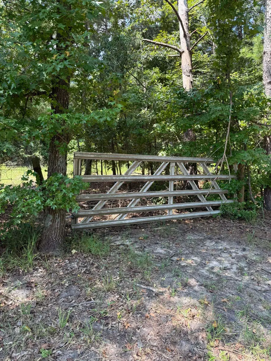 199 CR 4560, Winnsboro, TX 75494 - Image #3