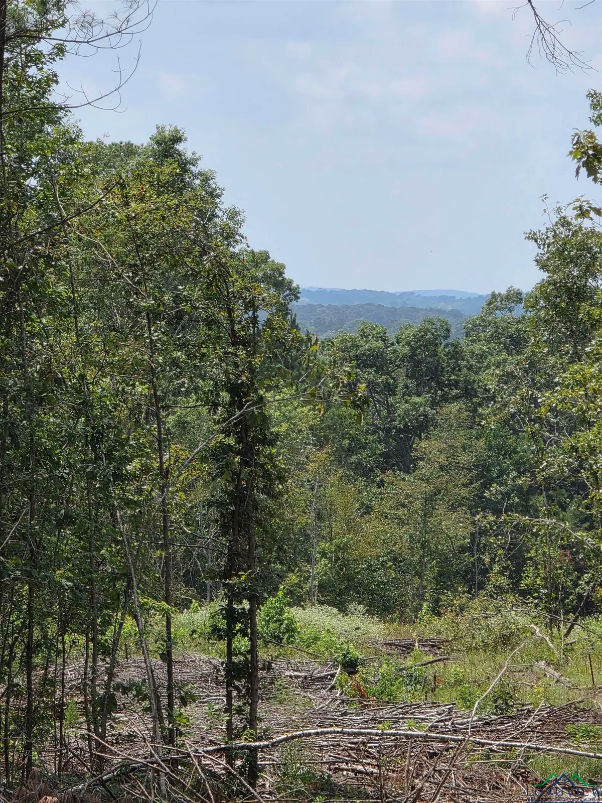 TBD County Raod 3267, Mount Enterprise, TX 75681-6452 - Image #1