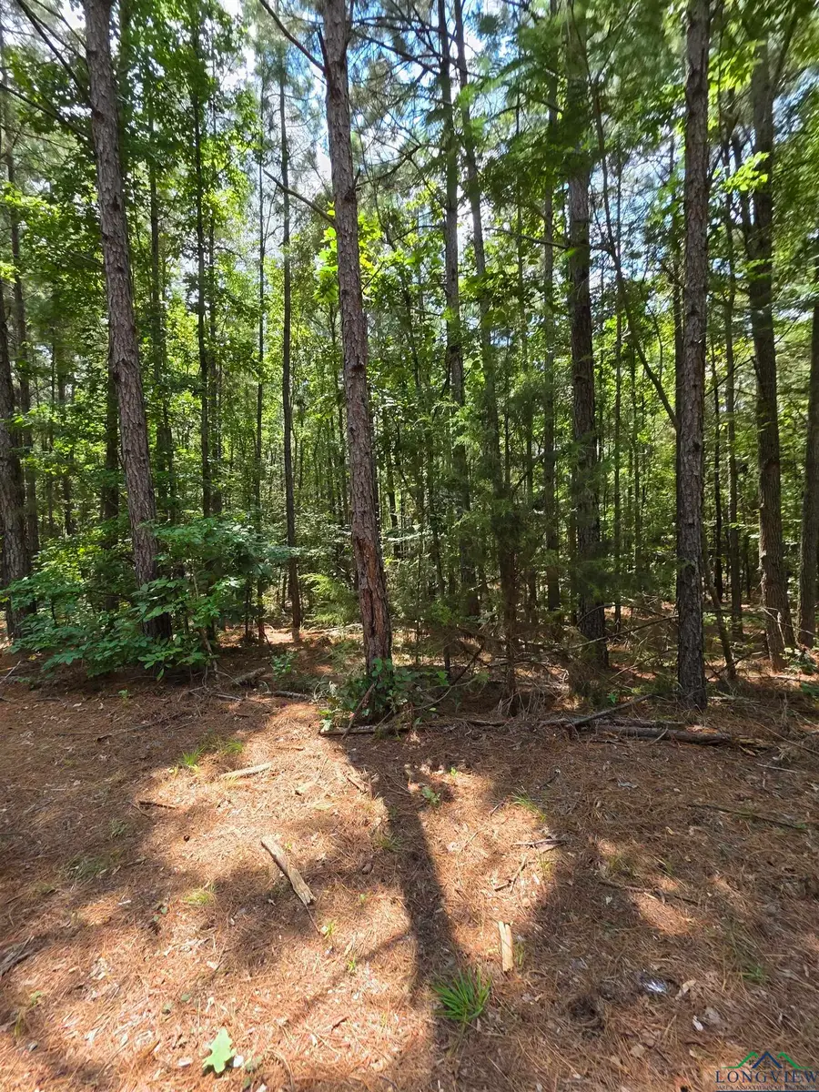 TBD County Raod 3267, Mount Enterprise, TX 75681-6452 - Image #2