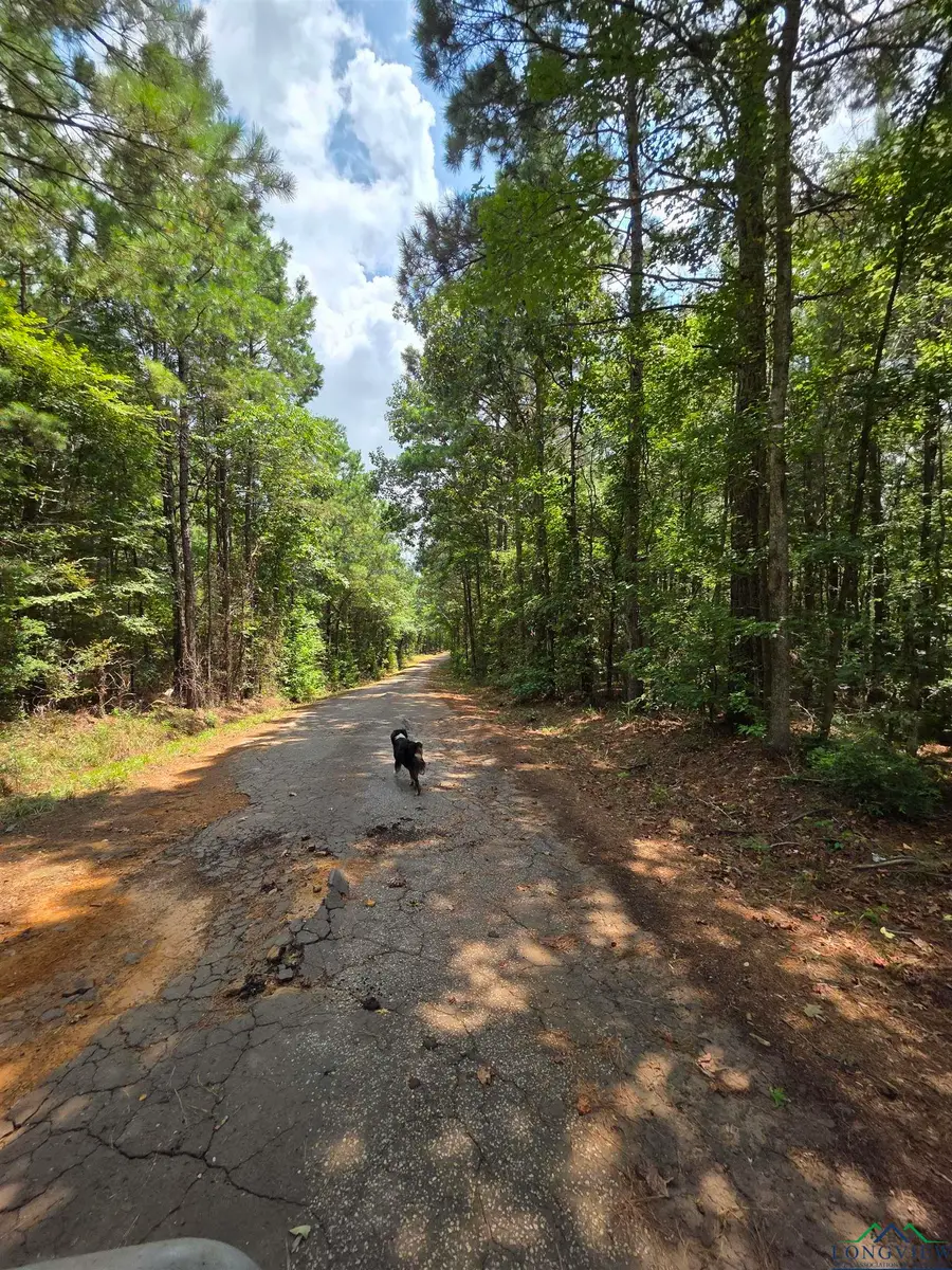 TBD County Raod 3267, Mount Enterprise, TX 75681-6452 - Image #3