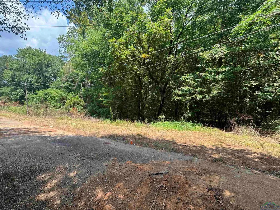 TBD Sellars St, Daingerfield, TX 75638 - Image #2