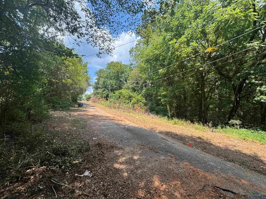 TBD Sellars St, Daingerfield, TX 75638 - Image #3